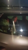 新恋情？狗仔拍到：亚马尔和阿根廷女歌手尼基-尼科共同乘车离开